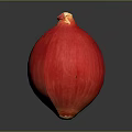 Whole Fresh Red Onion Vibrant Vegetable As Healthy Food Ingredient