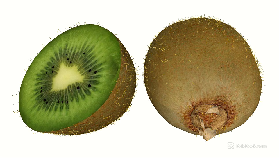 Fresh Kiwi Fruit With Whole And Halved Green Flesh Black Seeds And Brown Hairy Skin 3d model 