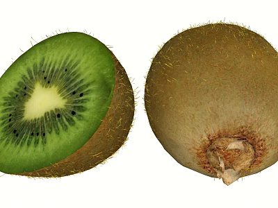 Fresh Kiwi Fruit With Whole And Halved Green Flesh Black Seeds And Brown Hairy Skin 3d model