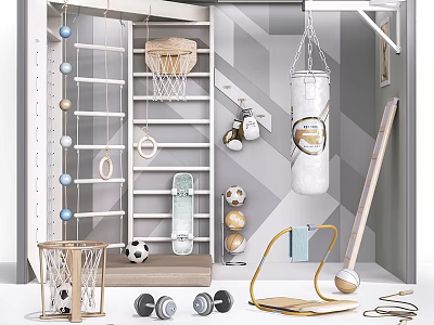 Indoor Home Fitness Space With Climbing Ladder Punching Bag Dumbbells And Sports Gear 3d model