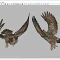 Two Flying Owls With Spread Wings In Mid Flight Showing Detailed Feather Patterns