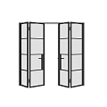 Modern Folding Double Doors With Black Metal Frame And Glass Panels
