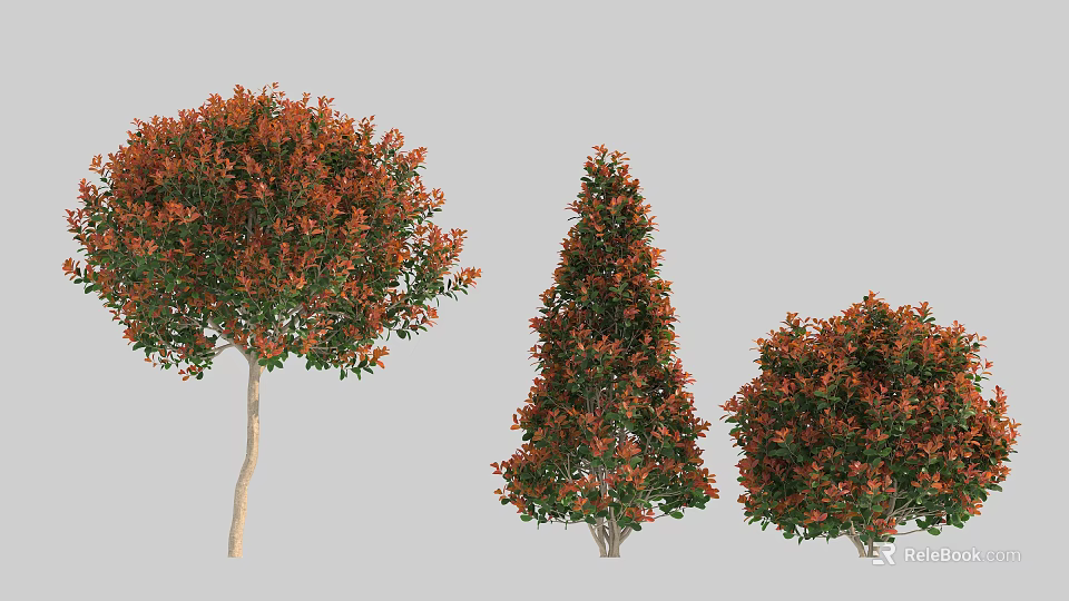Ornamental Garden Shrubs With Red And Green Leaves In Different Shapes 3d model 
