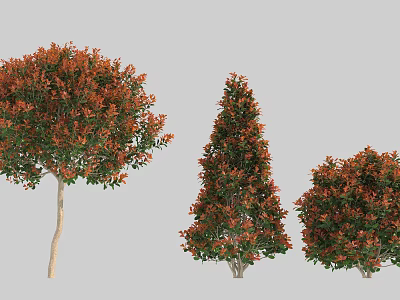 Ornamental Garden Shrubs With Red And Green Leaves In Different Shapes 3d model