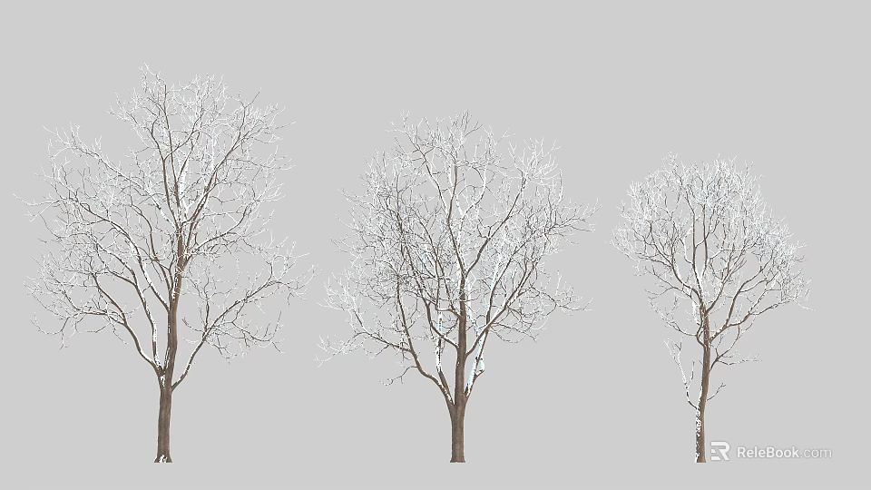 Three Leafless Arbor Trees Adorned With White Snow On Their Branches During Cold Winter 3d model 