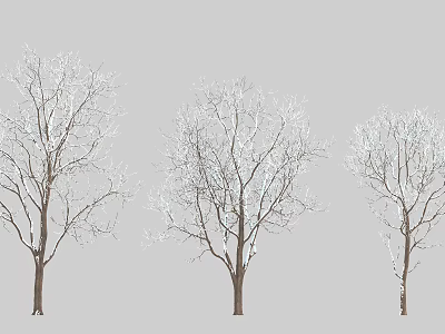Three Leafless Arbor Trees Adorned With White Snow On Their Branches During Cold Winter 3d model