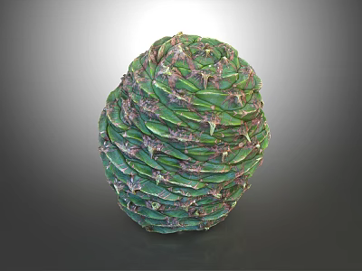 Fresh Green Layered Fruit with Textured Leaves Wrapped in Spherical Shape 3d model