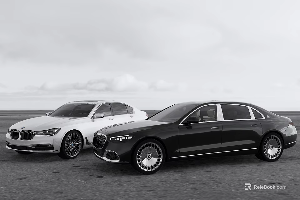 White and Black Luxury Sedans Parked in Open Coastal Area with Sky Background 3d model 