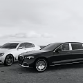 White and Black Luxury Sedans Parked in Open Coastal Area with Sky Background