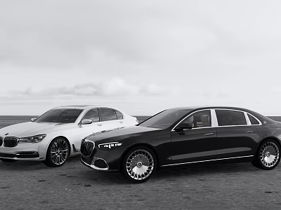White and Black Luxury Sedans Parked in Open Coastal Area with Sky Background 3d model