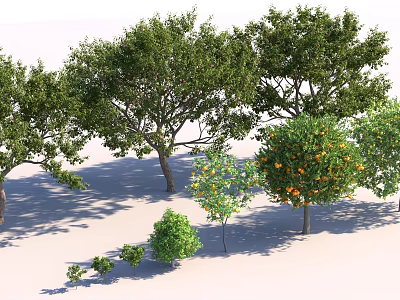 Lush Arboreal Trees with Green Leaves and Orange Fruits in Various Sizes and Shadows 3d model