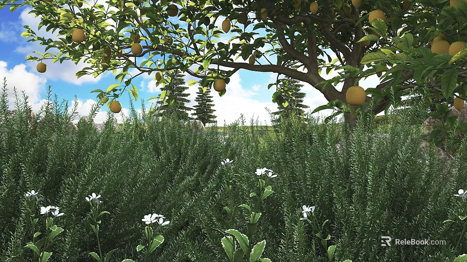 Lush Green Shrubs With White Flowers Under Lemon Tree And Blue Sky 3d model 
