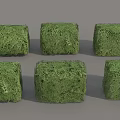 Six Green Cube Shaped Shrubs Neatly Arranged on Gray Background 3d model