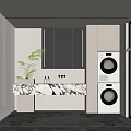 Modern Bathroom Interior With Marble Counter Mirror Cabinets And Washing Machine Dryer Plants