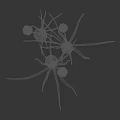 Crop Plant With Green Leaves White Flowers And Purple Roots Height Measurement In Cm