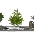 modern tree landscape tree arbor 3d model