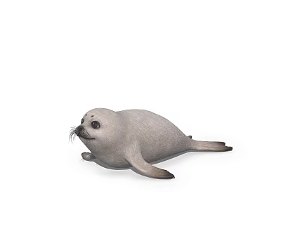 Light Gray Aquatic Seal Lying With Round Eyes And Whiskers On White Background 3d model