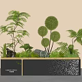 Stylish Plant Arrangement With Rounded Topiaries Ferns In Black Rectangular Planter With Gold Trim