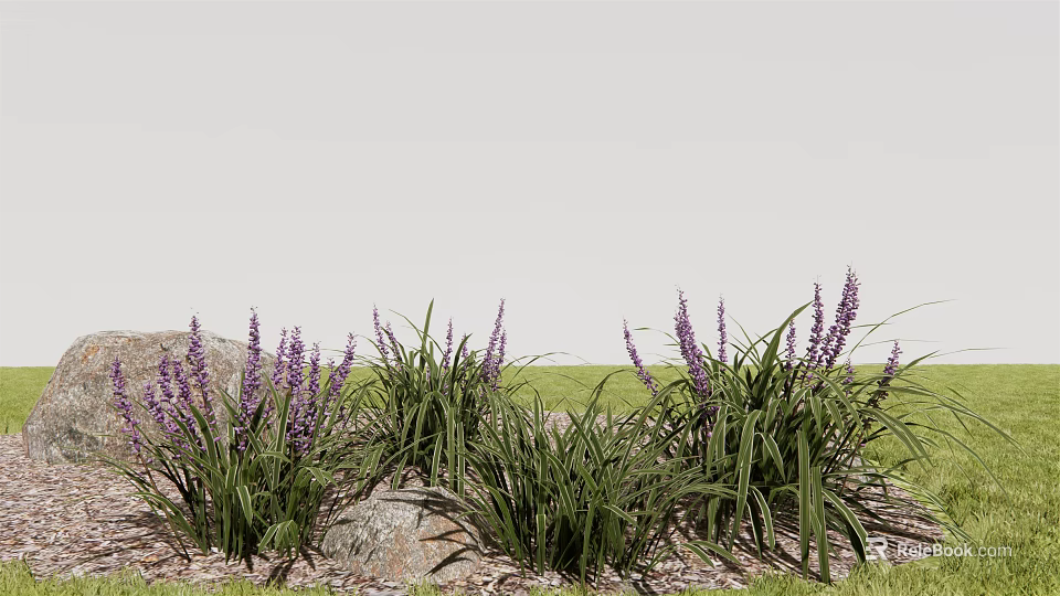 Purple Flowers With Green Long Leaves And Stones In Grassy Natural Setting 3d model 