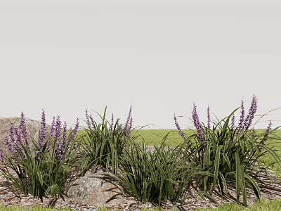 Purple Flowers With Green Long Leaves And Stones In Grassy Natural Setting 3d model