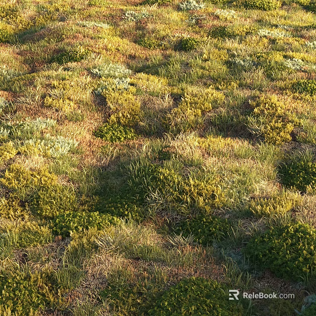 Vibrant Green and Yellow Wildflowers Flourishing in Lush Natural Grassland Area 3d model 