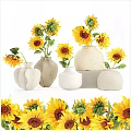 Potted Sunflower Plants In Various Ceramic Vases For Home Decoration