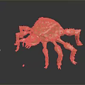 Golden Crab Like Metallic Sculpture With Detailed Texture And Dark Background Reflection