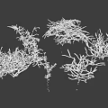 Dead branches Snow modeling trees Dead trees Winter trees Snow trees Snow trees Snow plants Snow trees 3d model