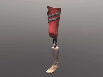 Prosthetic Leg Medical Device With Red Support Structure And Foot Components 3d model