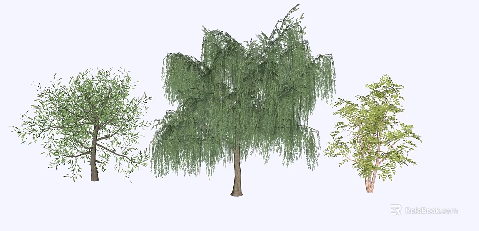 Different Tree Types Featuring Weeping Willow with Green Foliage and Branches 3d model 