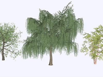 Different Tree Types Featuring Weeping Willow with Green Foliage and Branches 3d model