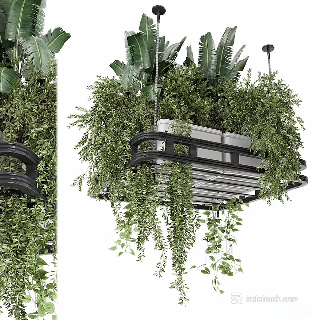 Hanging Potted Plants With Lush Green Leaves On Decorative Metal Frame Design 3d model 