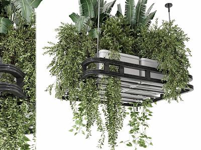 hanging basket hanging plant green plant bonsai 3d model