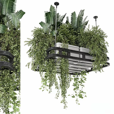 Hanging Potted Plants With Lush Green Leaves On Decorative Metal Frame Design 3d model