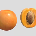 Fresh Ripe Orange Whole and Halved Apricot with Visible Seed