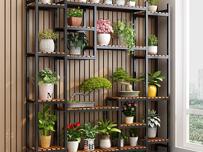 Decorative Tiered Shelving Unit With Various Potted Plants And Wooden Wall Background By Window 3d model