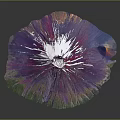 Artistic Colorful Terrain With Fan Shaped Structure And Gradient Purple Pink Green Blue Hues