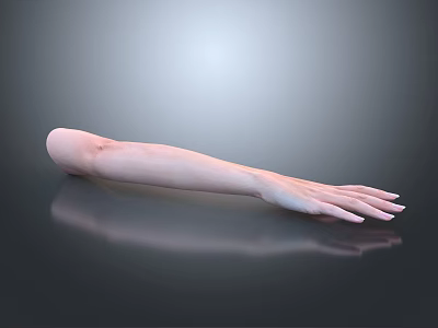 Man's Arm Lying Flat On Smooth Surface With Skin Tone And Dark Background Reflection 3d model