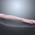 Man's Arm Lying Flat On Smooth Surface With Skin Tone And Dark Background Reflection