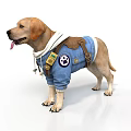 Brown Labrador Dog Wearing Blue Denim Hoodie With Backpack And Embroidered Patches