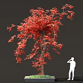 Vibrant Red Leaved Tree With Square Planter Base And Green Grass Near White Silhouette Figure