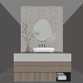 Modern Bathroom Vanity With White Basin Round Mirror And Green Plant