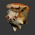 Anatomical Study Of Human Organ Functions And Hair Growth Mechanisms