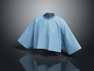 Light Blue Loose Fit Top With Round Neck And Short Sleeves Casual Design 3d model