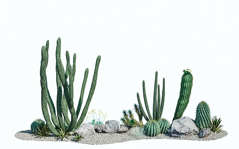 Summer easy breeding cactus pipe organ cactus Joshua tree sand plant greening configuration 3d model