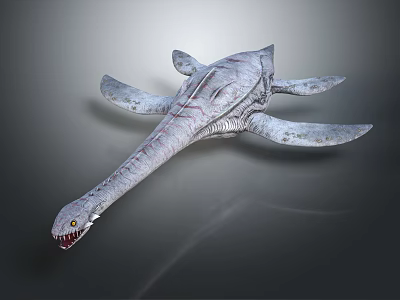 Modern plesiosaurs, plesiosaurs 3d model