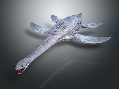 Modern plesiosaurs, plesiosaurs 3d model