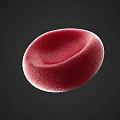 Blood Collection Area Featuring Red Blood Cell Sample For Laboratory Analysis