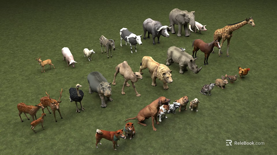 Various Animal Stuffed Dolls Arranged On Green Grass Field 3d model 