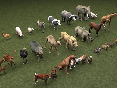 Various Animal Stuffed Dolls Arranged On Green Grass Field 3d model